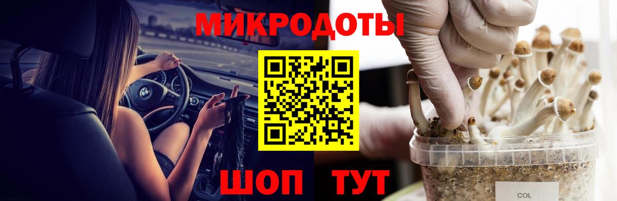 Галлюциногенные грибы MAGIC MUSHROOMS  Вход с VPN  Усть-Лабинск 